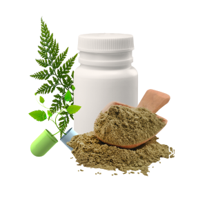 protéines et vitamines